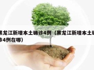 黑龙江新增本土确诊4例（黑龙江新增本土确诊4例在哪）