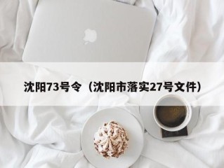 沈阳73号令（沈阳市落实27号文件）