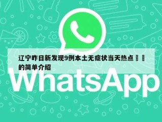 辽宁昨日新发现9例本土无症状当天热点㊙️的简单介绍
