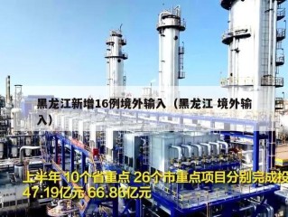 黑龙江新增16例境外输入（黑龙江 境外输入）