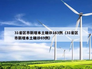 31省区市新增本土确诊163例（31省区市新增本土确诊69例）